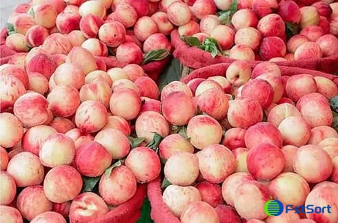 images/1656664365086peach grader.jpg